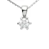 Anhänger mit Kette Silber