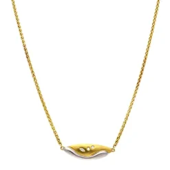 Brillant-Collier Bicolor