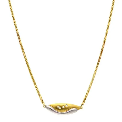 Brillant-Collier Bicolor