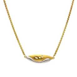 Brillant-Collier Bicolor