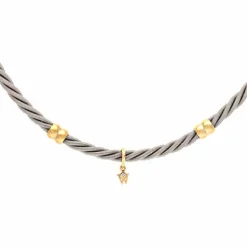 Brillant-Collier Bicolor