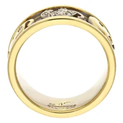 Brillant-Ring Bicolor
