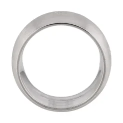 Damenring Silber