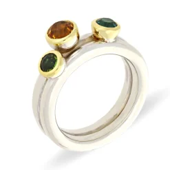 Farbstein-Ring Bicolor