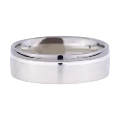 Herrenring Bicolor