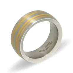 Herrenring Bicolor