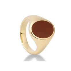 Jaspis-Siegelring Gelbgold