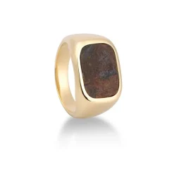 Pietersit-Siegelring Gelbgold